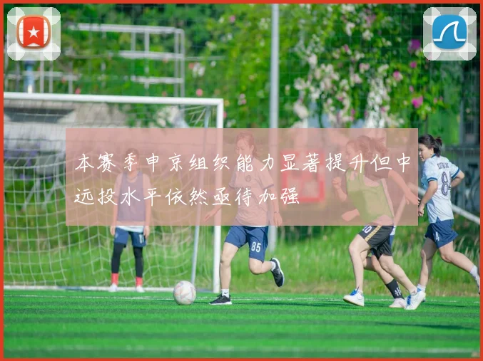 本赛季申京组织能力显著提升但中远投水平依然亟待加强
