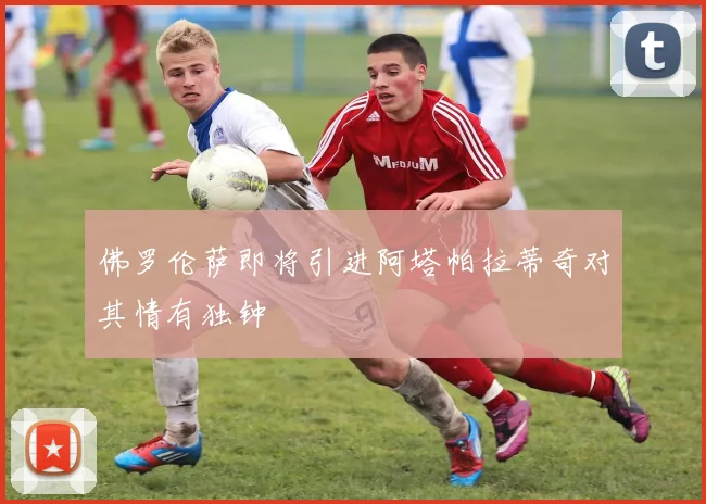 佛罗伦萨即将引进阿塔帕拉蒂奇对其情有独钟